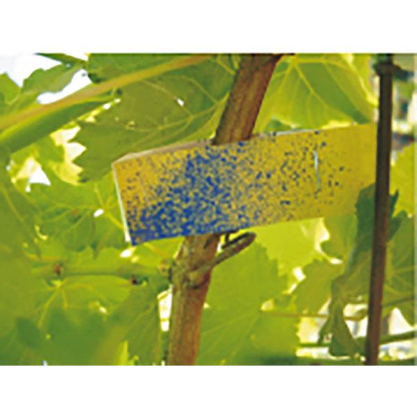 Syngenta Water Sensitive Paper